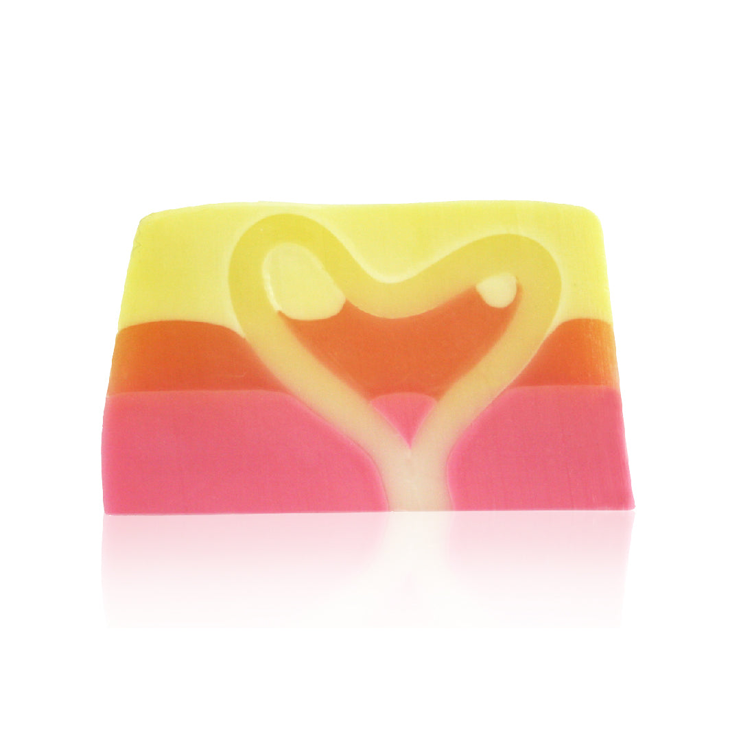 Koru Groovey Grapefruit Handmade Soap